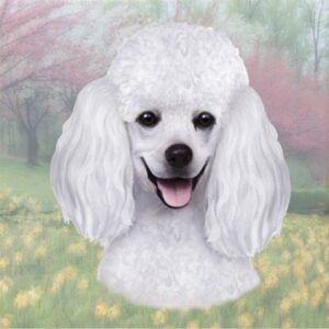 POODLE, WHITE HOME COASTERS