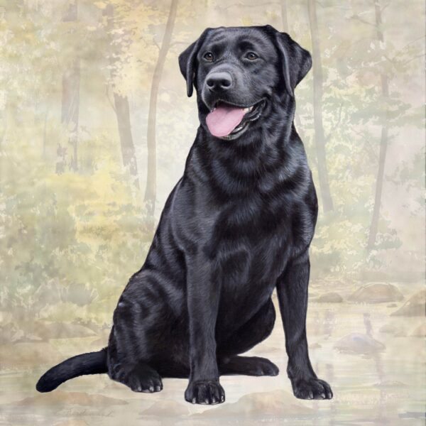 LAB BLACK SITTING HOME COASTERS