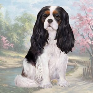 CAVALIER KING CHARLES SITTING HOME COASTERS