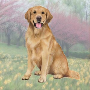 GOLDEN RETRIEVER SITTING HOME COASTERS