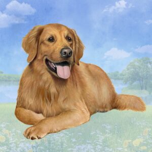 GOLDEN RETRIEVER LAYING HOME COASTERS