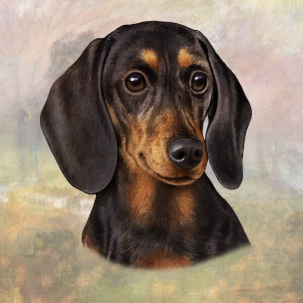 DACHSHUND , BLACK AND TAN STANDONG HOME COASTERS