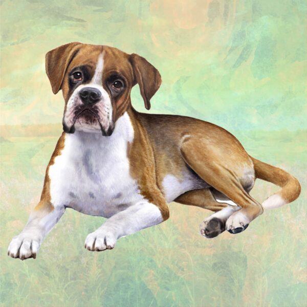 BOXER  LAYING HOME COASTERS