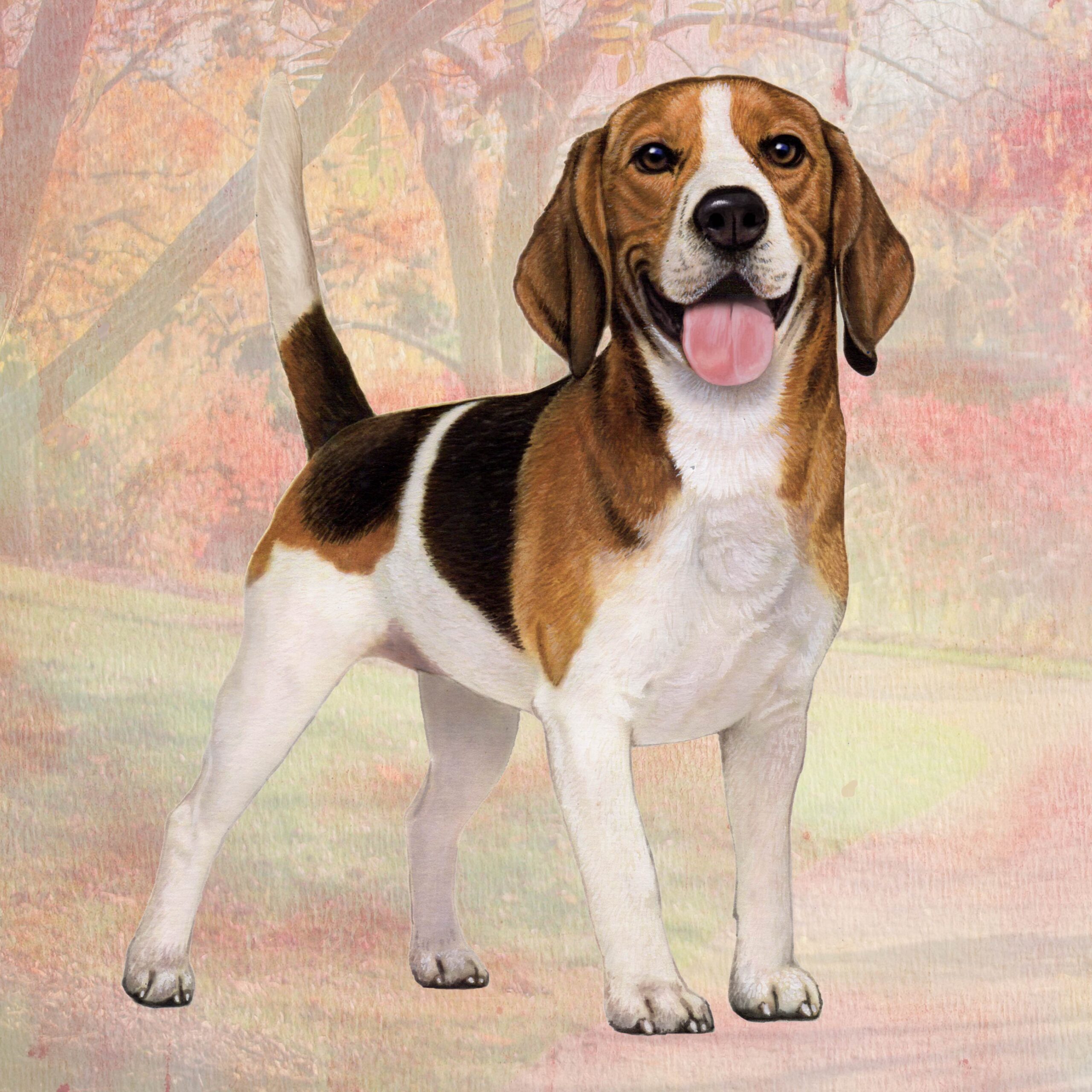 BEAGLE STANDING HOME COASTERS
