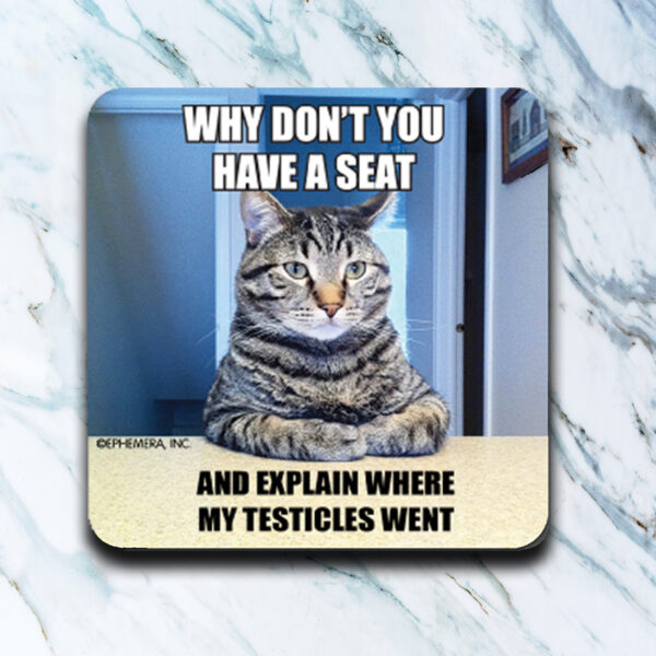 CAT TESTICLES WENT COASTER