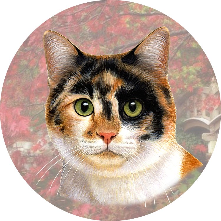 CALICO CAT LAYING COASTER