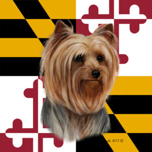 YORKIE SHOW BEST OF BREED - GARDEN FLAG