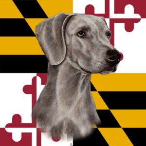 WEIMERANER BEST OF BREED - GARDEN FLAG