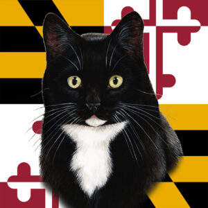 TUXEDO BLACK AND WHITE BEST OF BREED - GARDEN FLAG