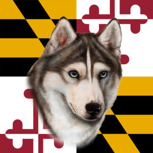 SIBERIAN HUSKY BEST OF BREED - GARDEN FLAG