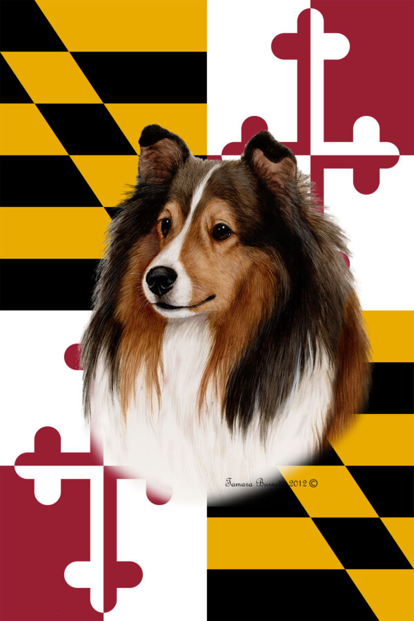 SHELTIE SABLE BEST OF BREED - GARDEN FLAG