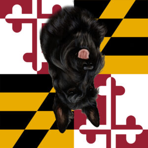 SCOTTIE BEST OF BREED - GARDEN FLAG