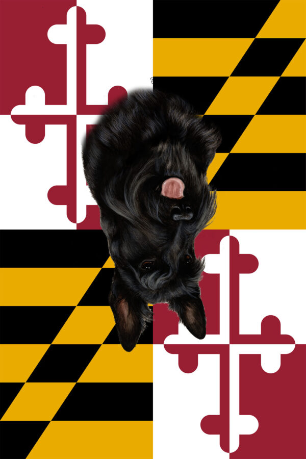 SCOTTIE BEST OF BREED - GARDEN FLAG