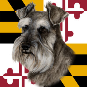 SCHNAUZER GREY UNCROPPED BEST OF BREED - GARDEN FLAG