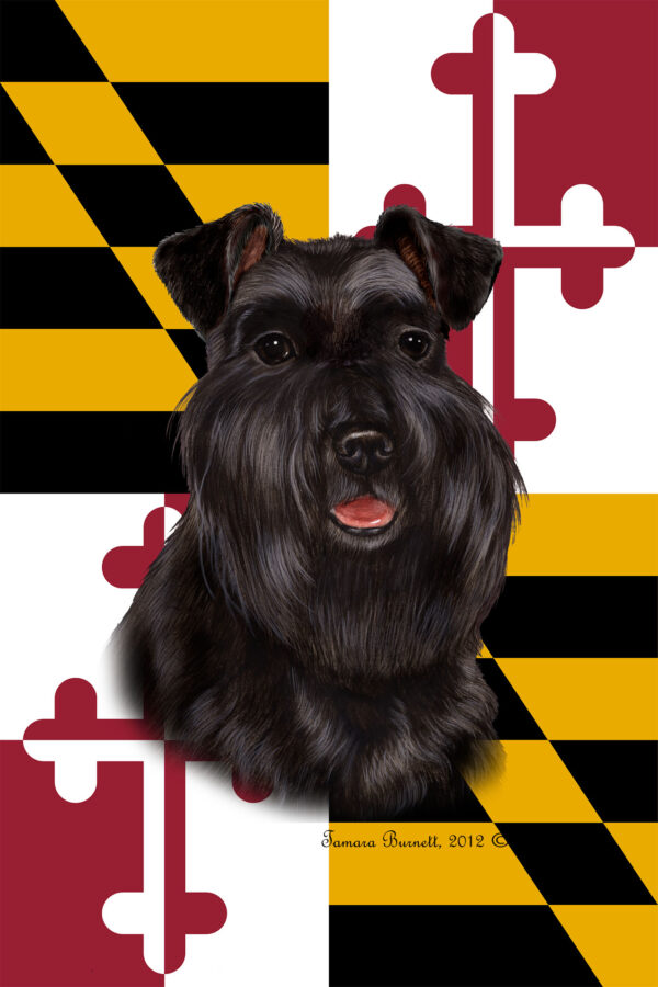 SCHNAUZER BLACK UNCROPPED BEST OF BREED - GARDEN FLAG