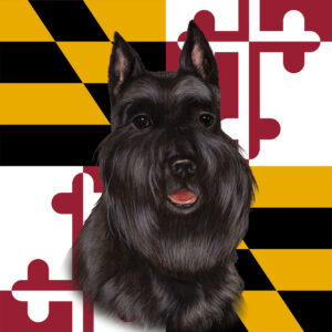 SCHNAUZER BLACK CROPPED BEST OF BREED - GARDEN FLAG