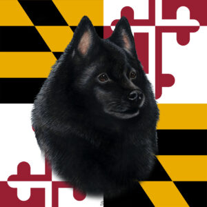 SCHIPPERKE BEST OF BREED - GARDEN FLAG
