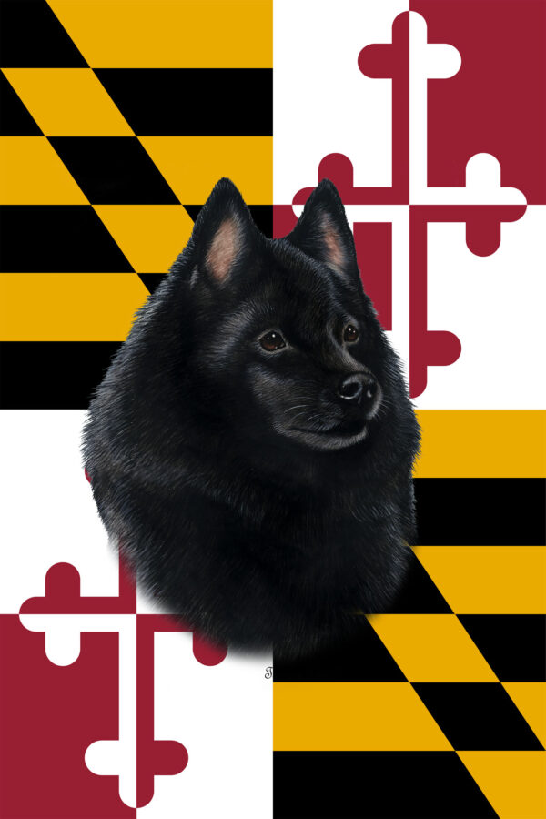SCHIPPERKE BEST OF BREED - GARDEN FLAG