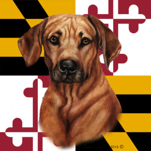 RHODESIAN RIDGE BACK BEST OF BREED - GARDEN FLAG