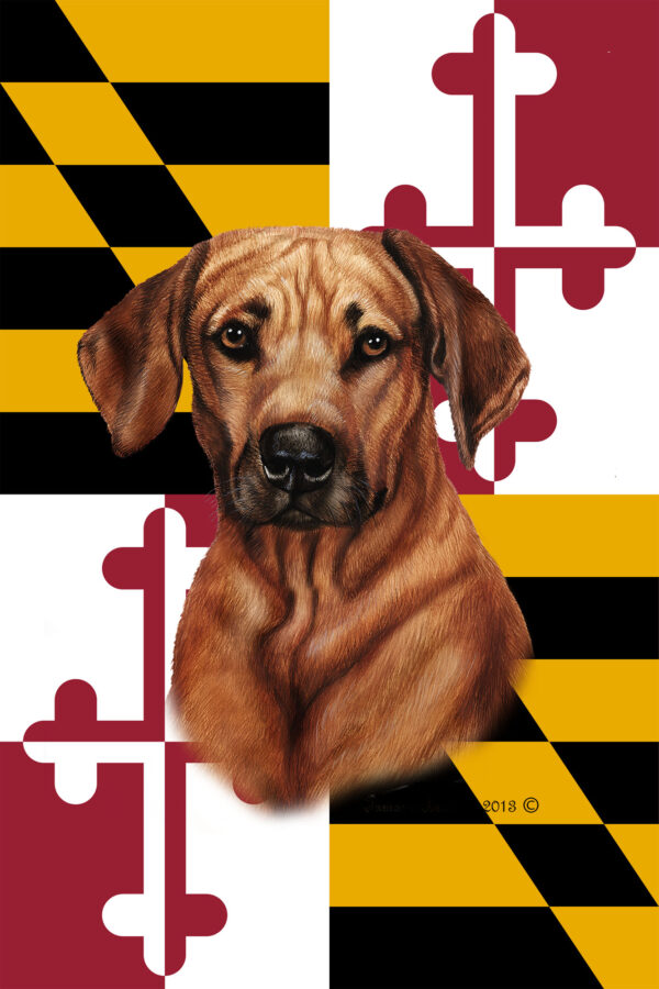 RHODESIAN RIDGE BACK BEST OF BREED - GARDEN FLAG