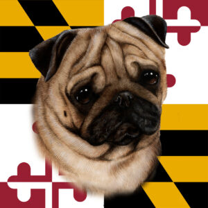 PUG FAWN BEST OF BREED - GARDEN FLAG