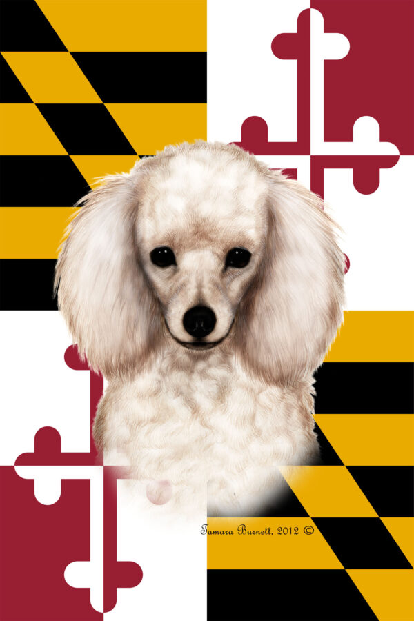 POODLE WHITE BEST OF BREED - GARDEN FLAG