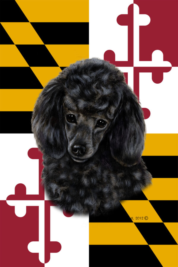 POODLE BLACK BEST OF BREED - GARDEN FLAG
