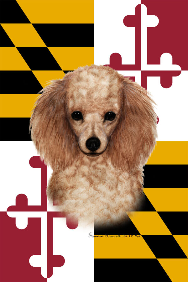 POODLE APRICOT BEST OF BREED - GARDEN FLAG