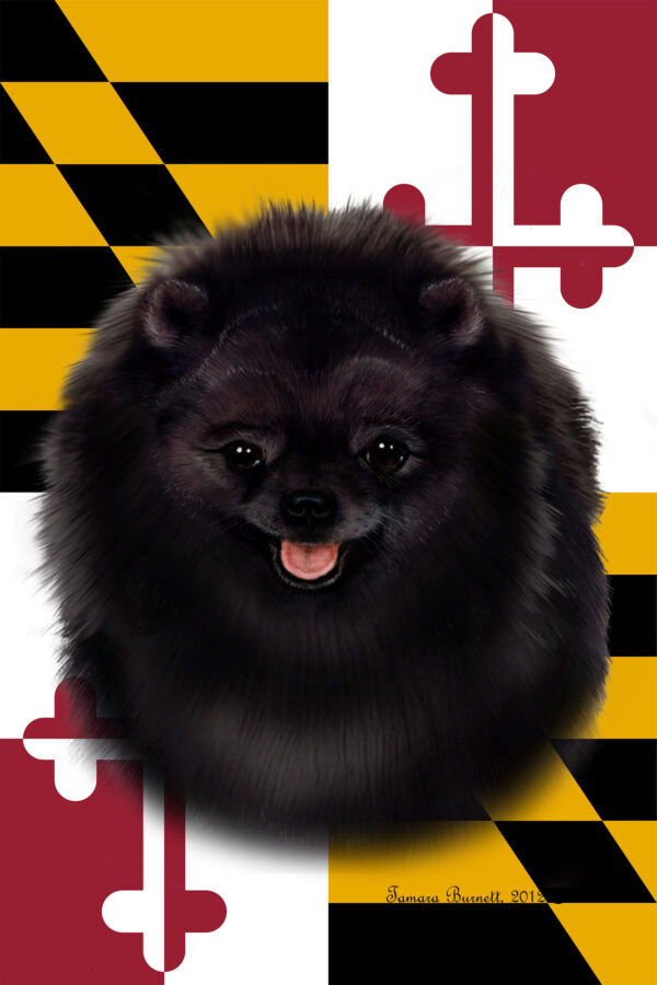 POMERANIAN BLACK BEST OF BREED - GARDEN FLAG