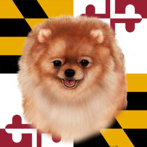 POMERANIAN BEST OF BREED - GARDEN FLAG