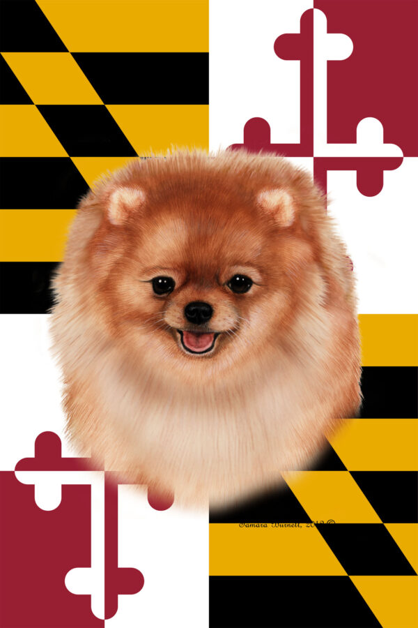 POMERANIAN BEST OF BREED - GARDEN FLAG
