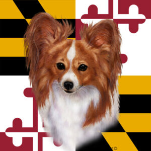 PAPILLON RED WHITE BEST OF BREED - GARDEN FLAG