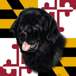 NEWFOUNDLAND BEST OF BREED - GARDEN FLAG