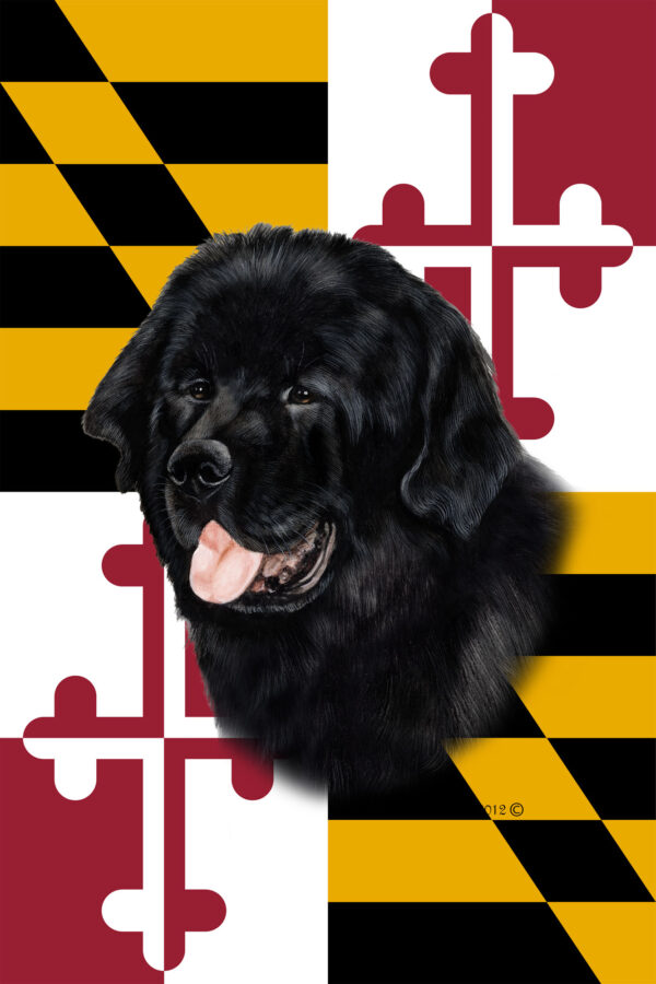NEWFOUNDLAND BEST OF BREED - GARDEN FLAG
