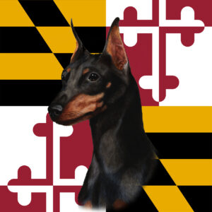 MINIATURE PINSCHER BEST OF BREED - GARDEN FLAG