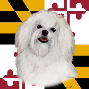 MALTESE BEST OF BREED - GARDEN FLAG