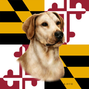 LABRADOR YELLOW BEST OF BREED - GARDEN FLAG