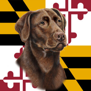 LABRADOR CHOCOLATE BEST OF BREED - GARDEN FLAG
