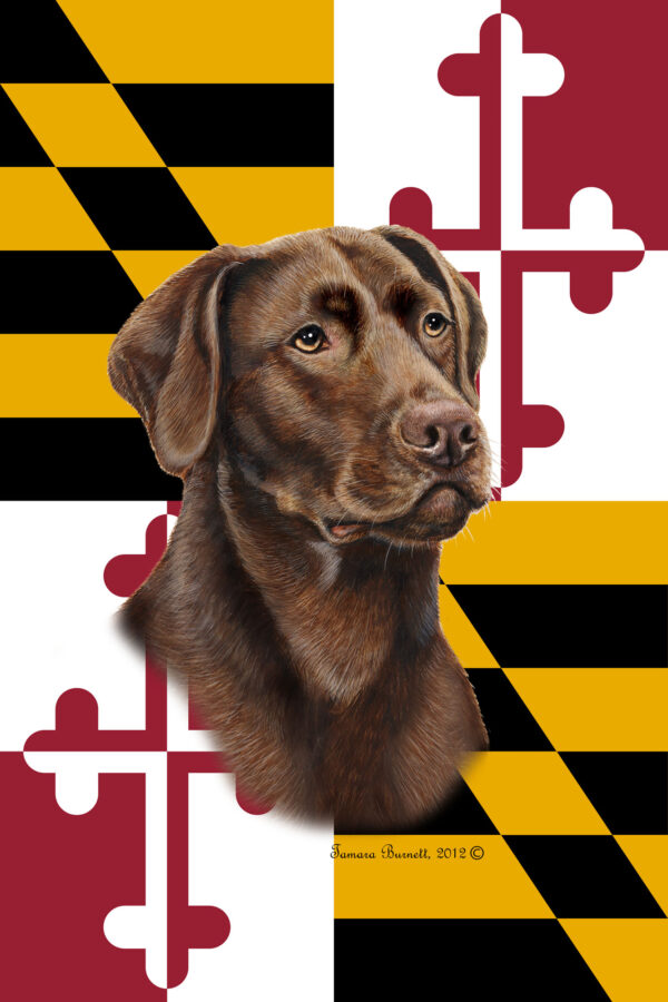 LABRADOR CHOCOLATE BEST OF BREED - GARDEN FLAG