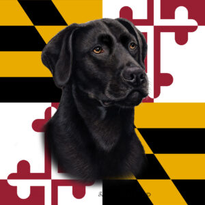 LABRADOR BLACK BEST OF BREED - GARDEN FLAG