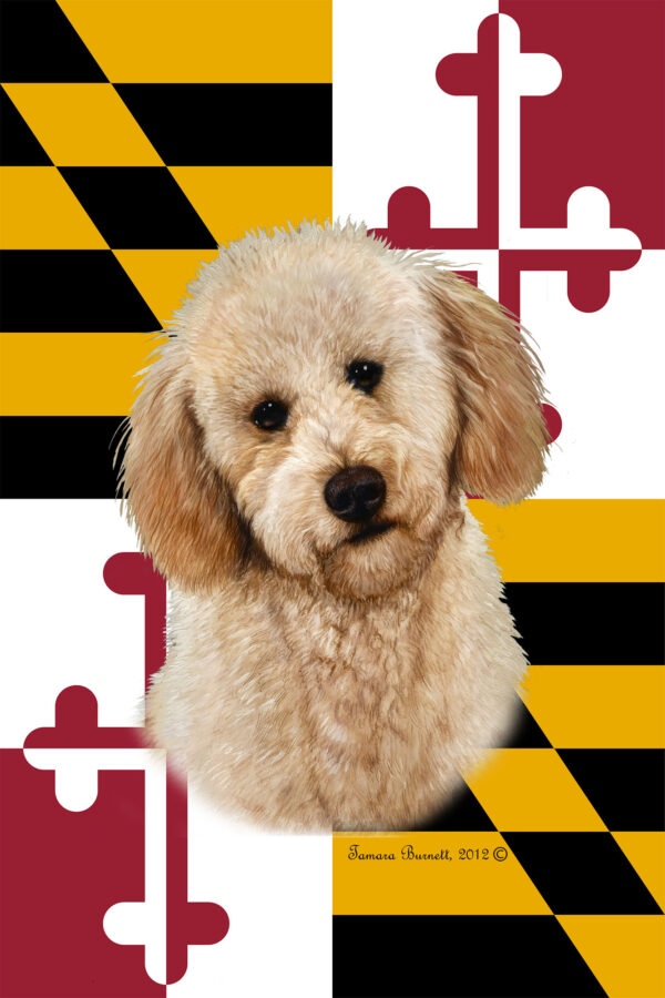 LABRADOODLE BLONDE BEST OF BREED - GARDEN FLAG
