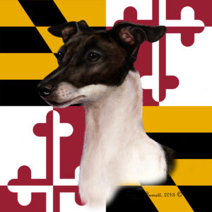 ITALIAN GREY HOUND BEST OF BREED - GARDEN FLAG