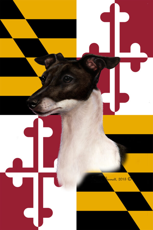 ITALIAN GREY HOUND BEST OF BREED - GARDEN FLAG