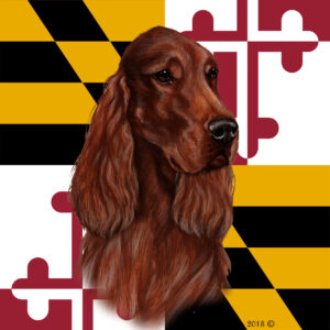IRISH SETTER BEST OF BREED - GARDEN FLAG