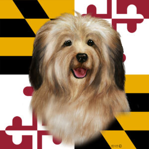HAVANESE CREAM BEST OF BREED - GARDEN FLAG