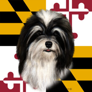 HAVANESE BLACK AND WHITE BEST OF BREED - GARDEN FLAG