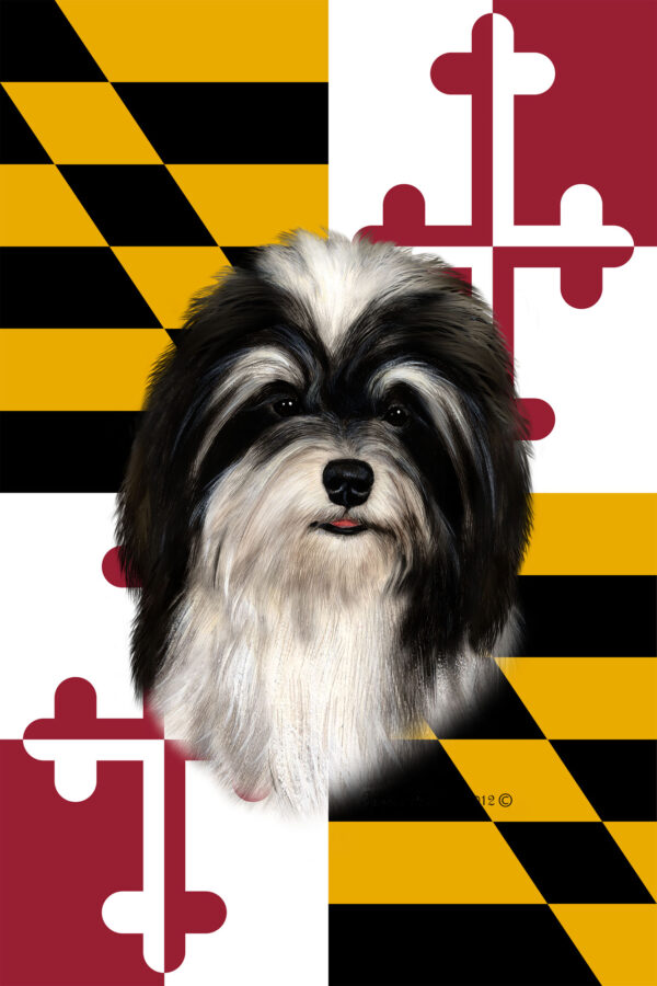 HAVANESE BLACK AND WHITE BEST OF BREED - GARDEN FLAG