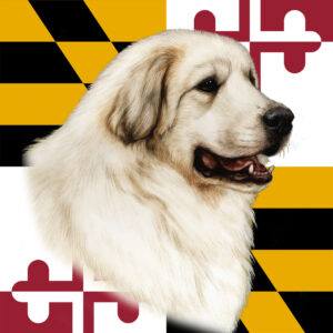 GREAT PYREENES BEST OF BREED - GARDEN FLAG