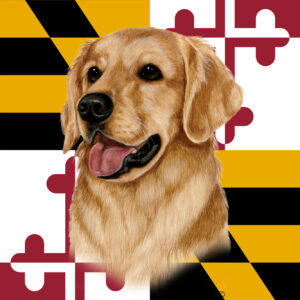 GOLDEN RETRIEVER BEST OF BREED - GARDEN FLAG