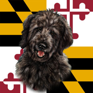 GOLDENDOODLE BLACK BEST OF BREED - GARDEN FLAG